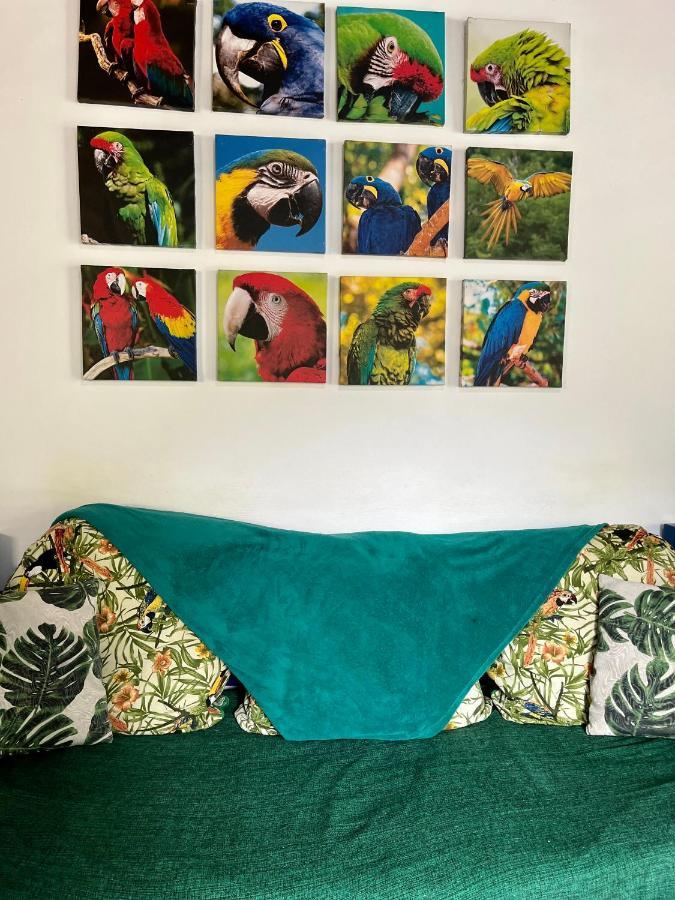 Hostel Papagaio إلها غراندي المظهر الخارجي الصورة